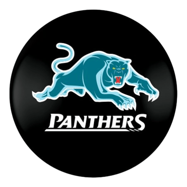 NRL Individual NRL Pool Balls 2" / Penrith Panthers Balls