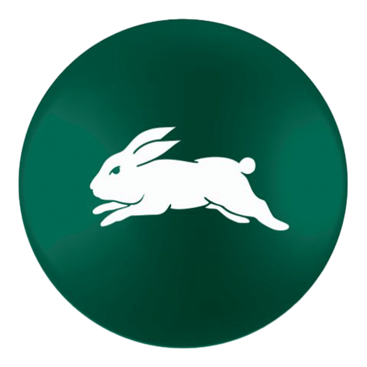 NRL Individual NRL Pool Balls 2" / South Sydney Rabbitohs Balls