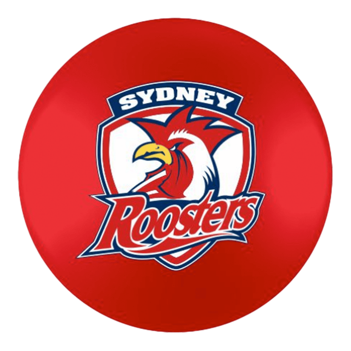 NRL Individual NRL Pool Balls 2" / Sydney Roosters Balls